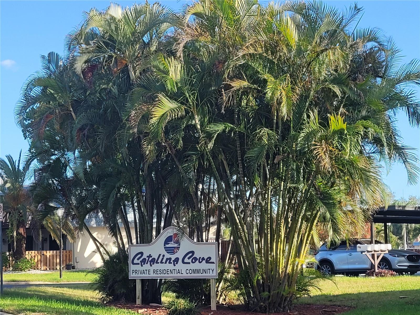 Image 4 of 52 For 14521 Catalina Circle