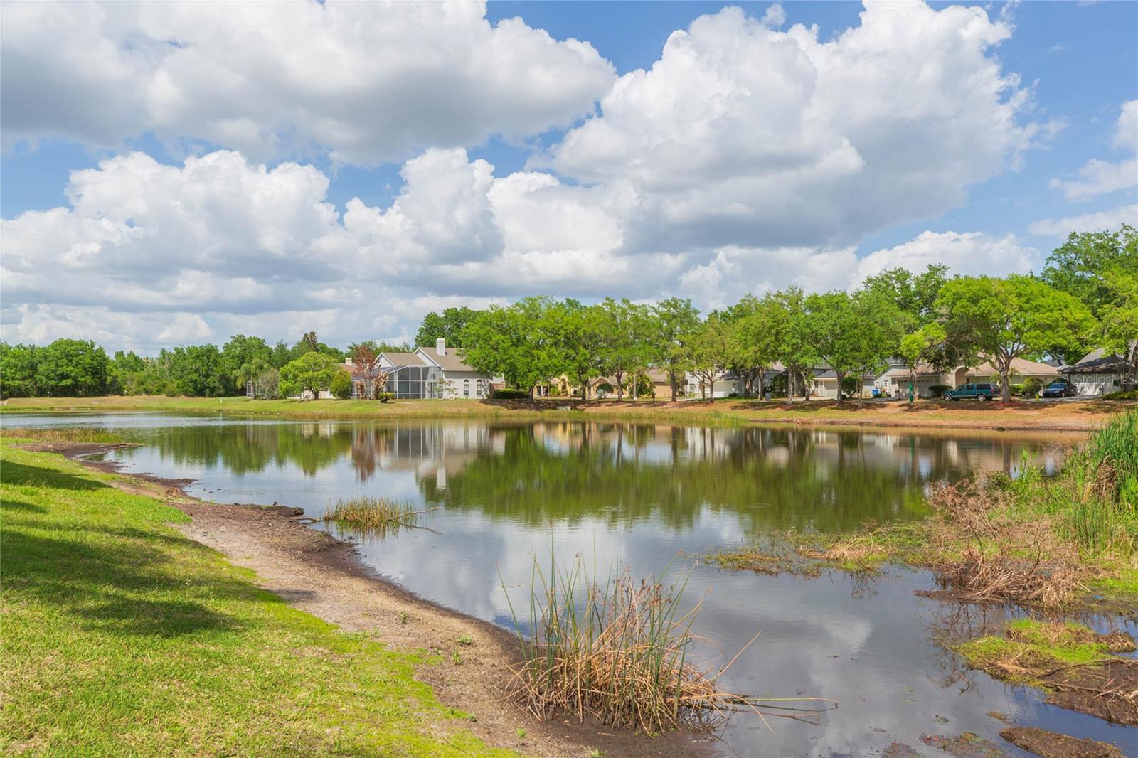 Listing photo id 44 for 9313 Rockrose Drive