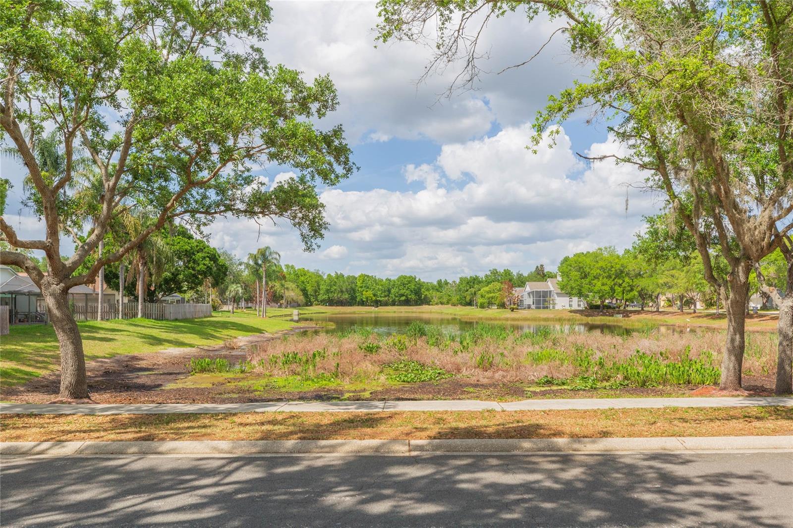 Listing photo id 45 for 9313 Rockrose Drive