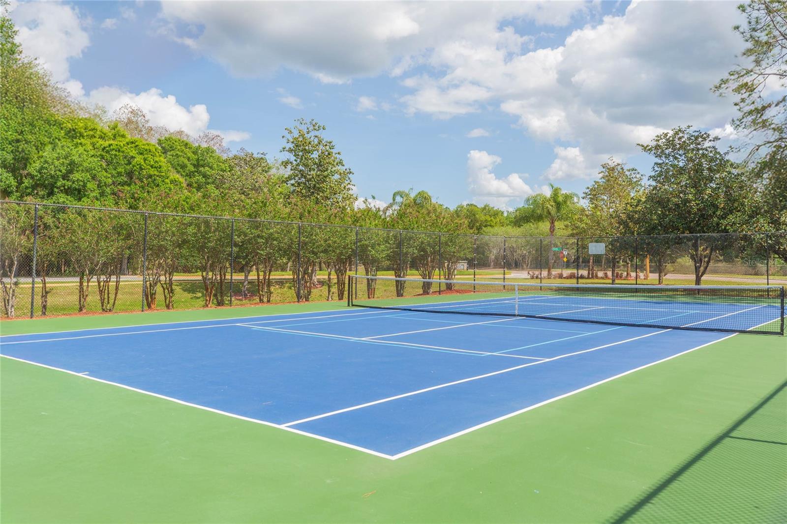 Listing photo id 48 for 9313 Rockrose Drive