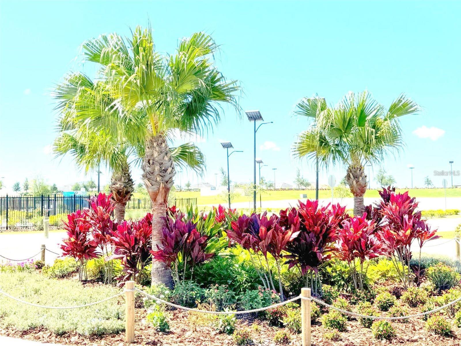 Image 19 of 24 For 11476 Radiant Shore Loop