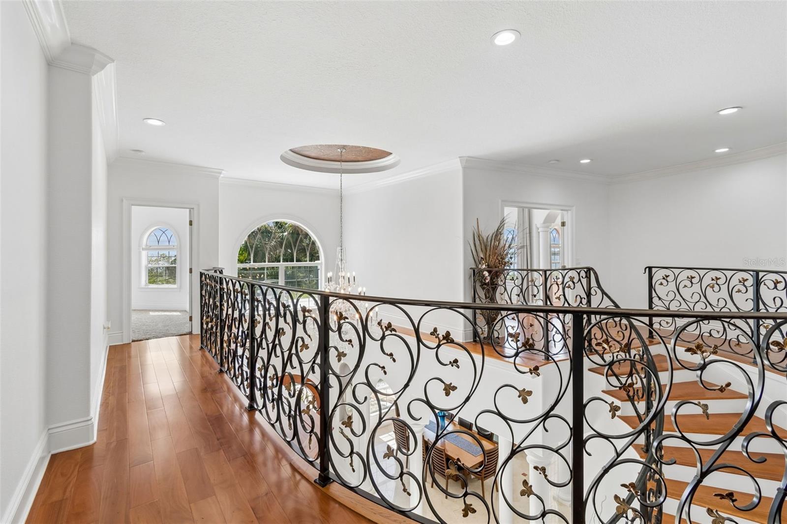 Image 50 of 89 For 6233 Bayshore Boulevard