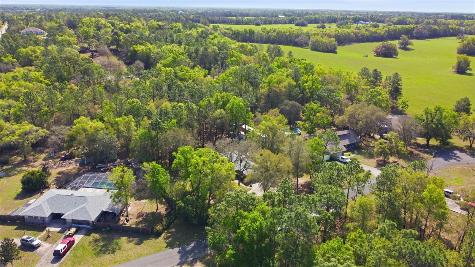 Image 47 of 53 For 12435 Canna Point