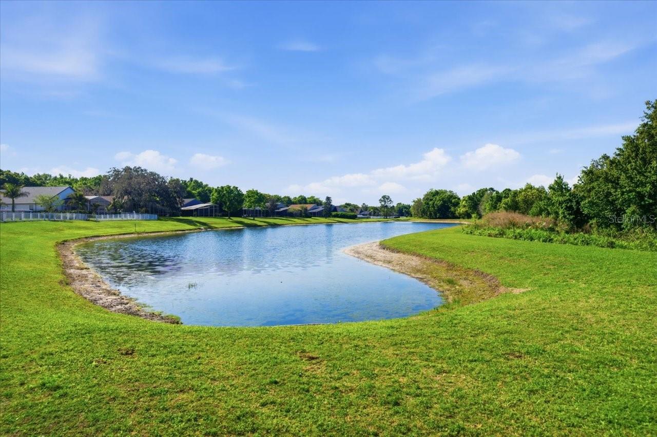 Image 5 of 48 For 15212 Arbor Hollow Drive