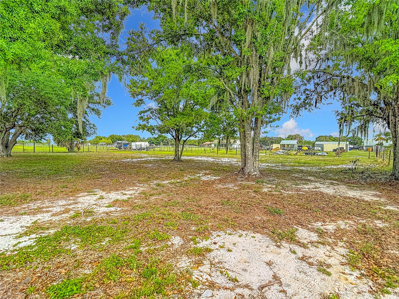 Listing photo id 88 for 216 Corbett Road
