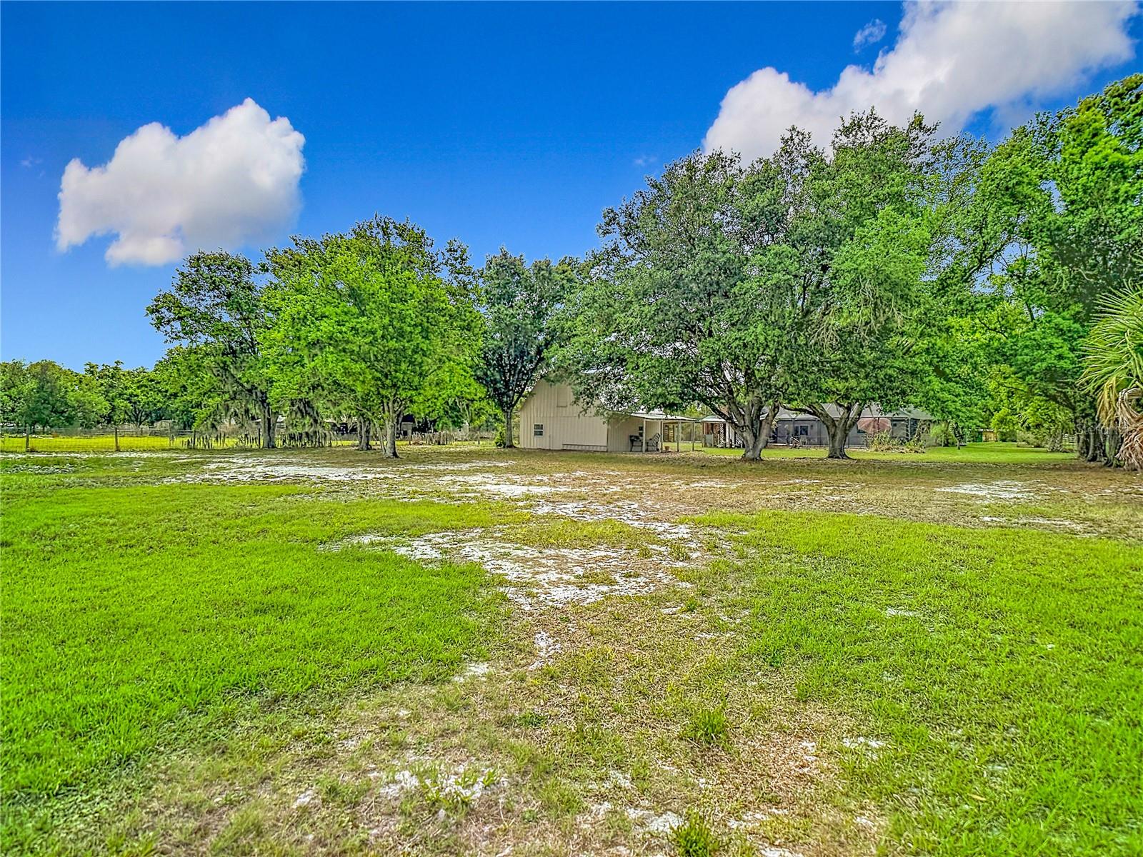 Listing photo id 90 for 216 Corbett Road