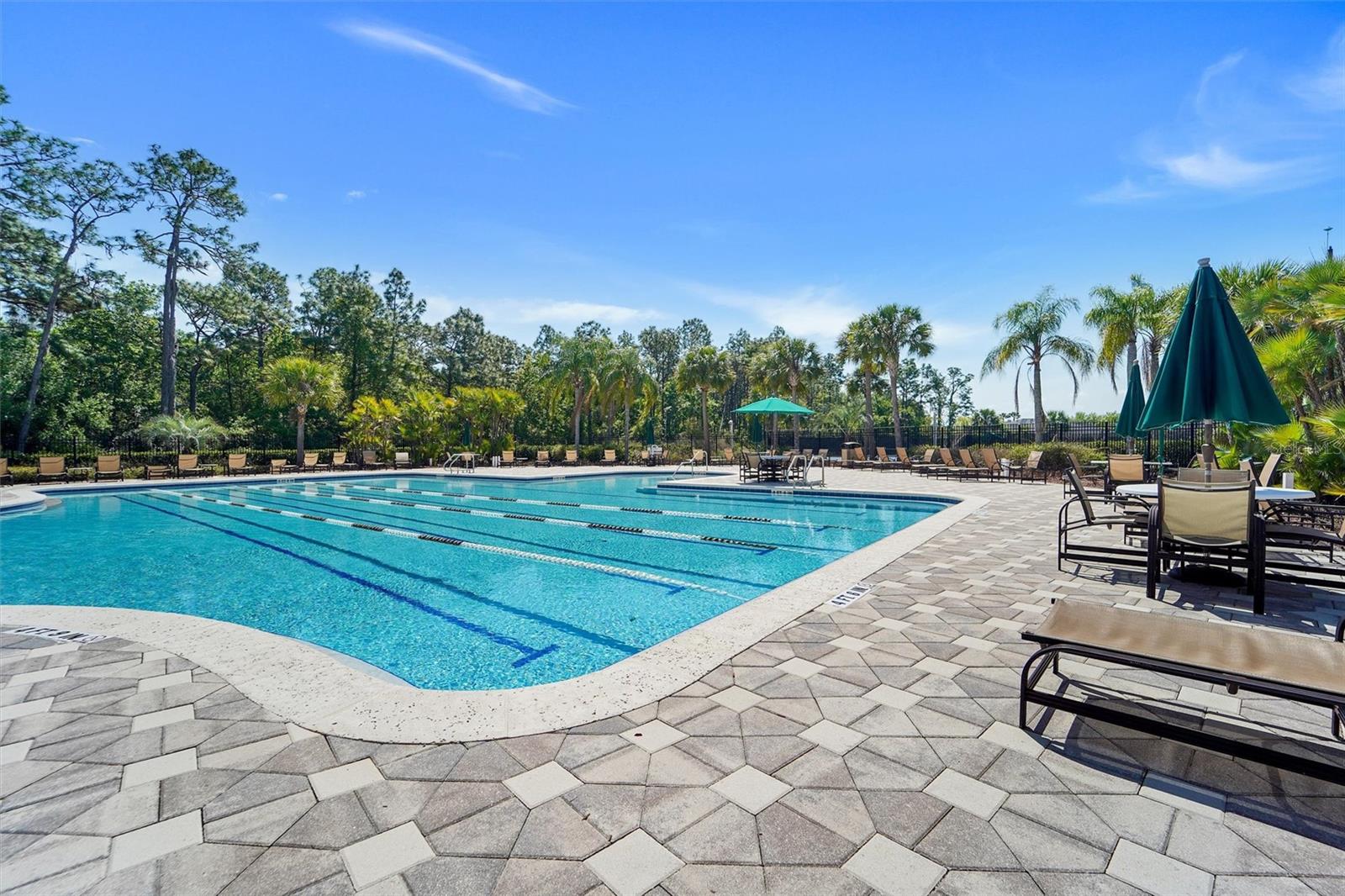 Image 32 of 33 For 20420 Autumn Fern Avenue