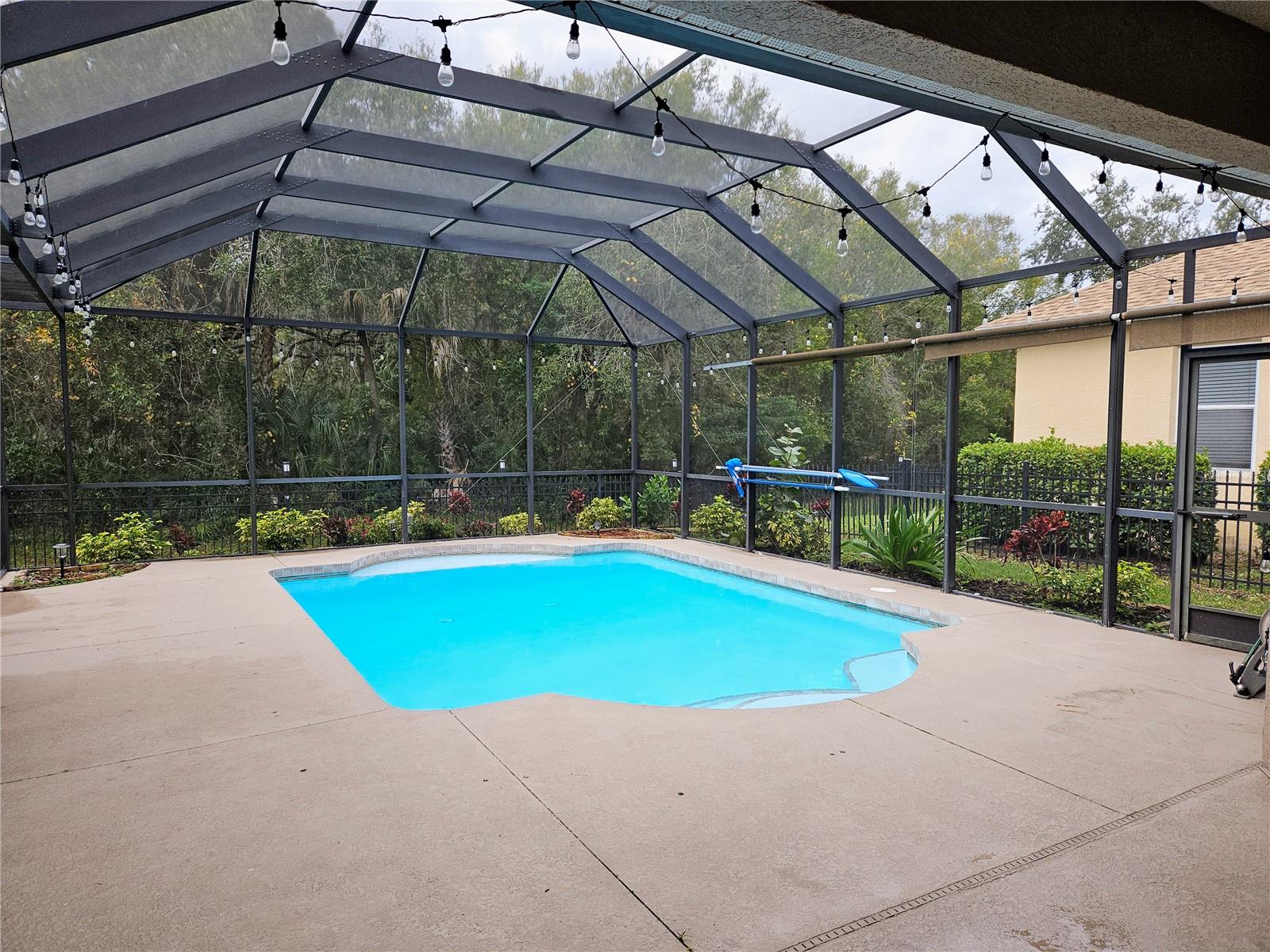 Image 33 of 60 For 12538 Cara Cara Loop