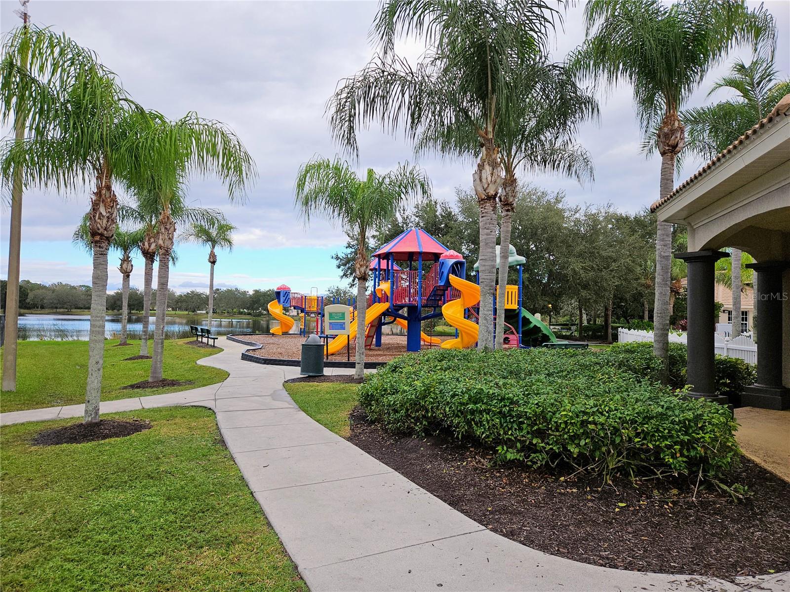 Image 47 of 60 For 12538 Cara Cara Loop