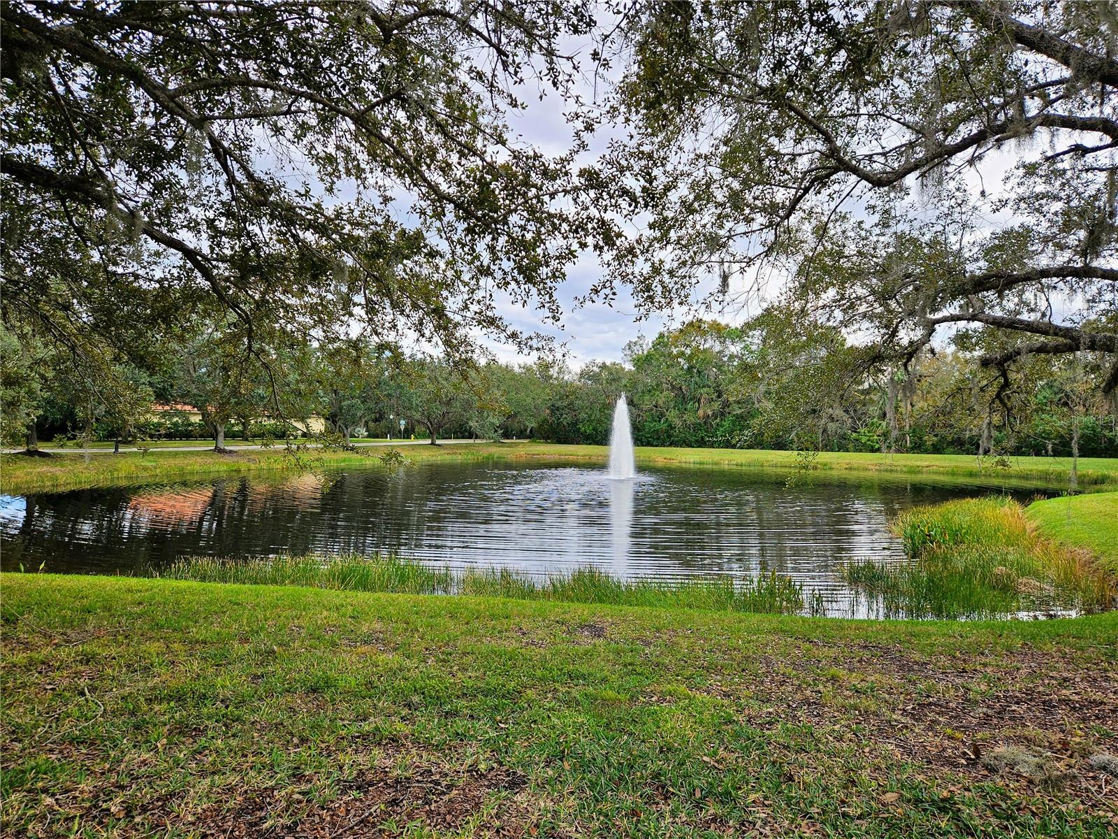 Image 51 of 60 For 12538 Cara Cara Loop