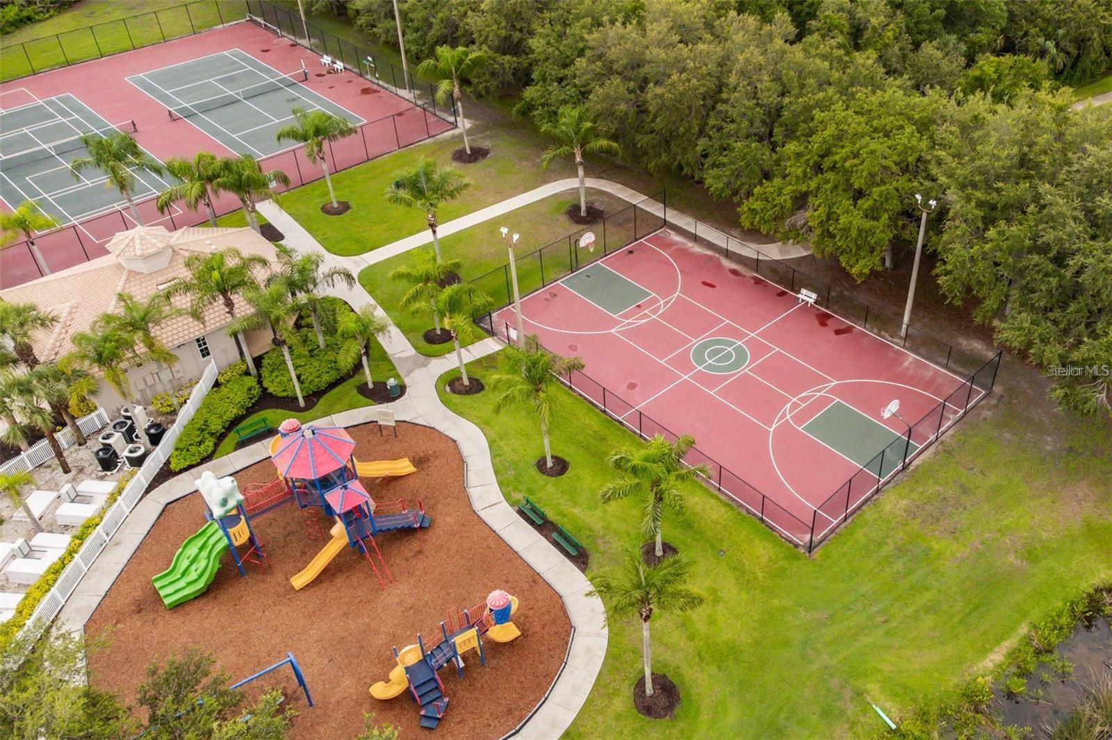 Image 60 of 60 For 12538 Cara Cara Loop