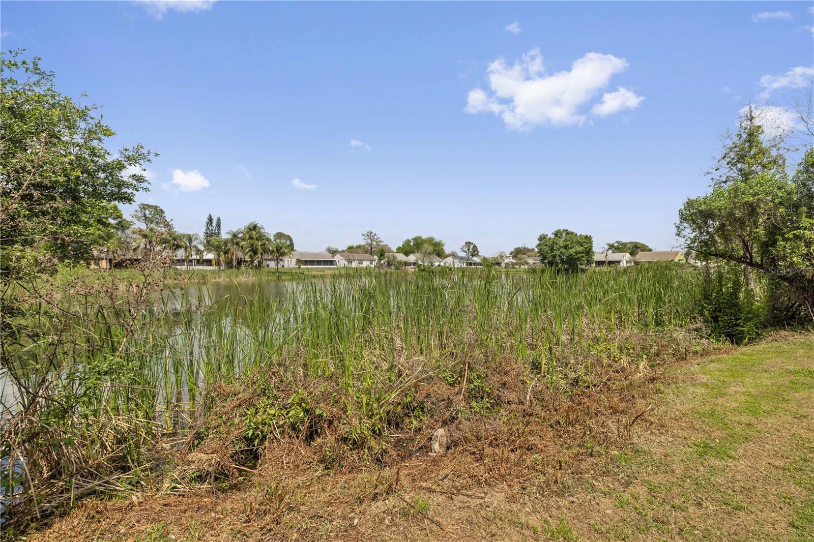 Image 23 of 23 For 7906 George Washington Lane