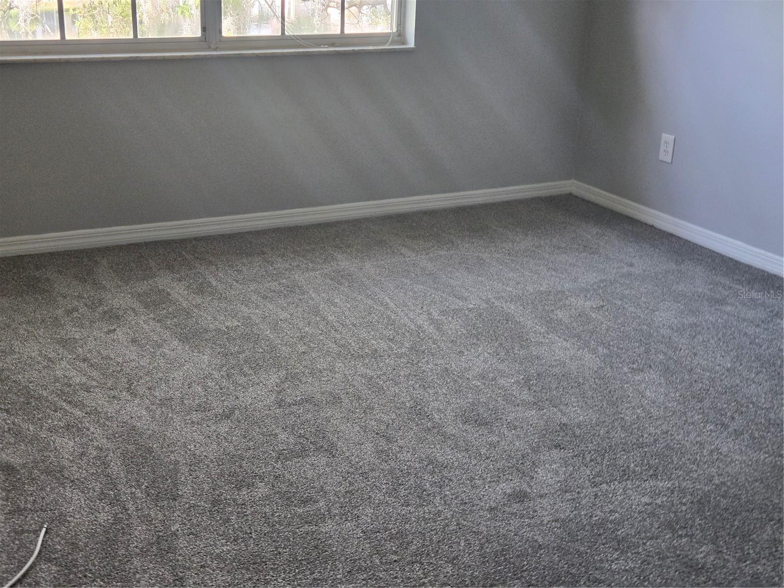 Image 10 of 17 For 10342 Carrollwood Lane 168