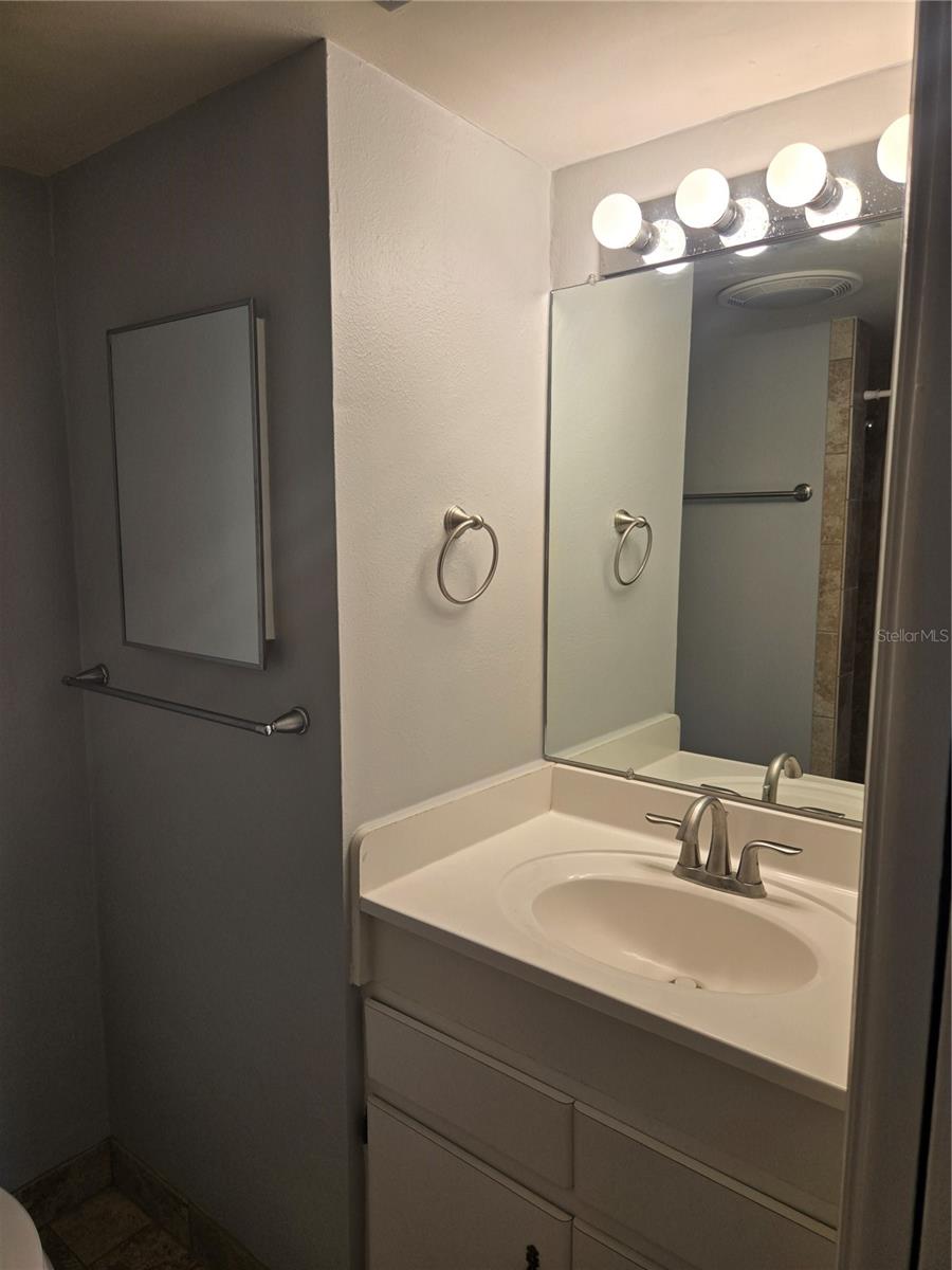 Image 15 of 17 For 10342 Carrollwood Lane 168