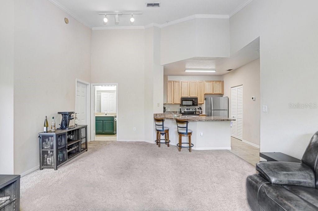 Image 9 of 33 For 2407 Courtney Meadows Court 303