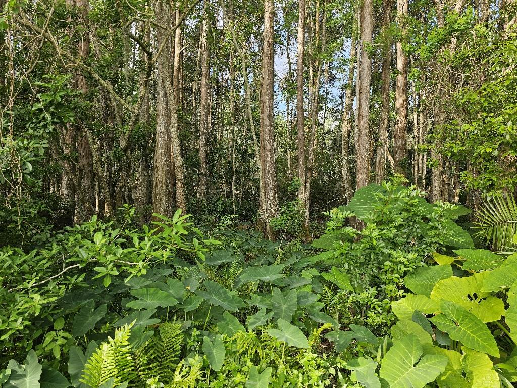 Image 44 of 49 For 18212 Keystone Grove Boulevard