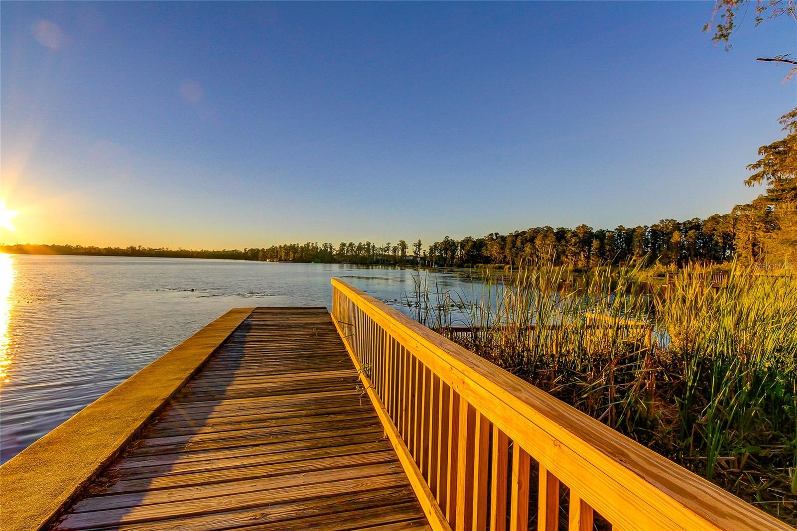 Image 36 of 46 For 11414 Crisfield Place