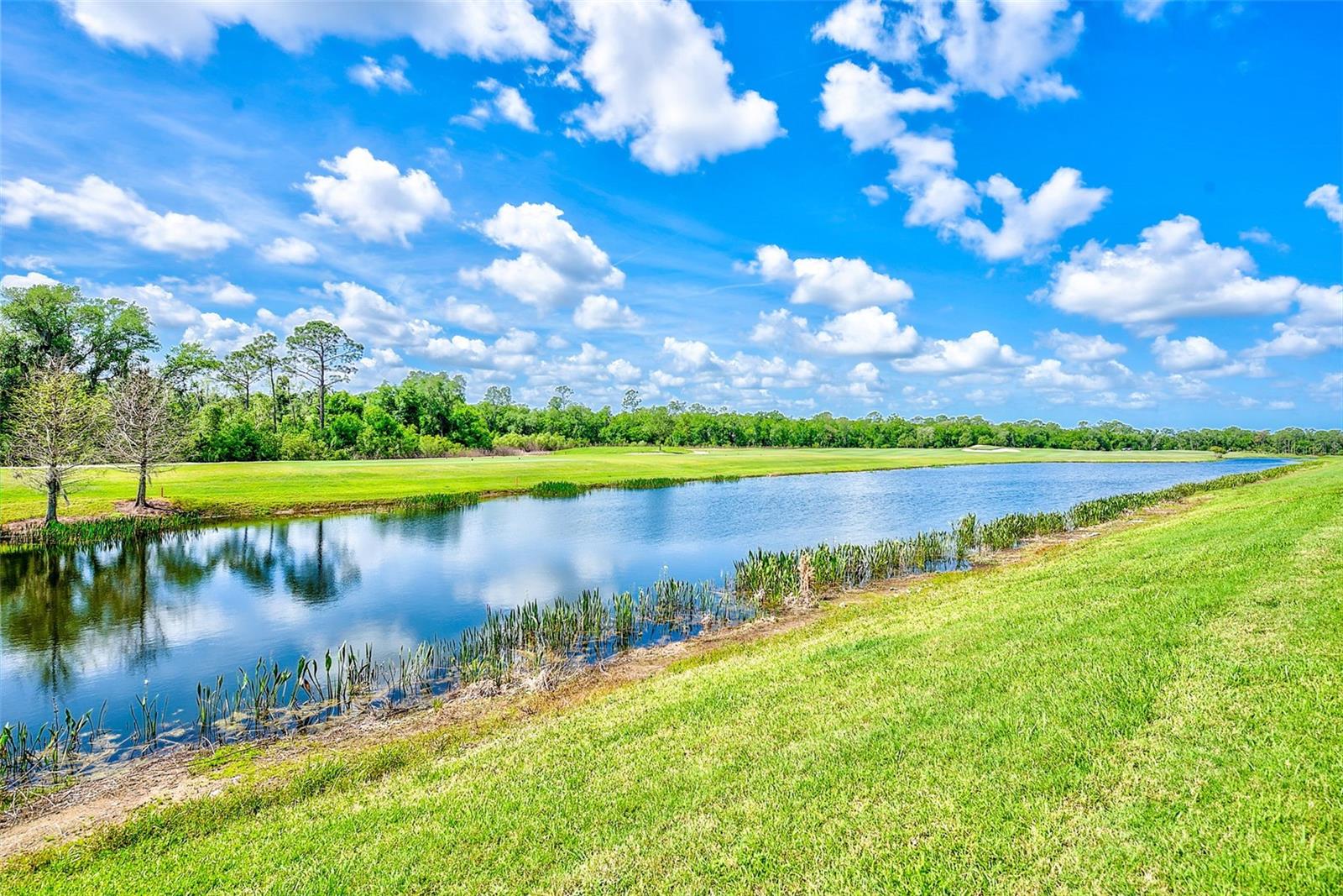 Image 34 of 50 For 18028 Gawthrop Drive 101