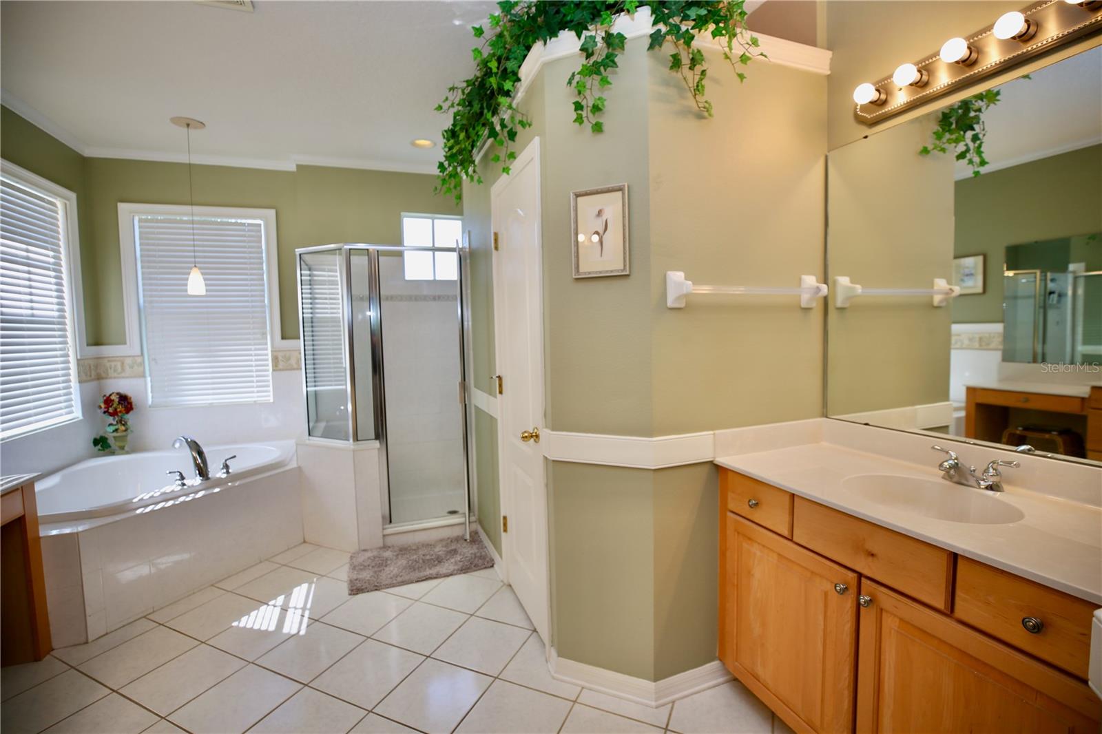 Image 28 of 71 For 2410 Tea Olive Terrace