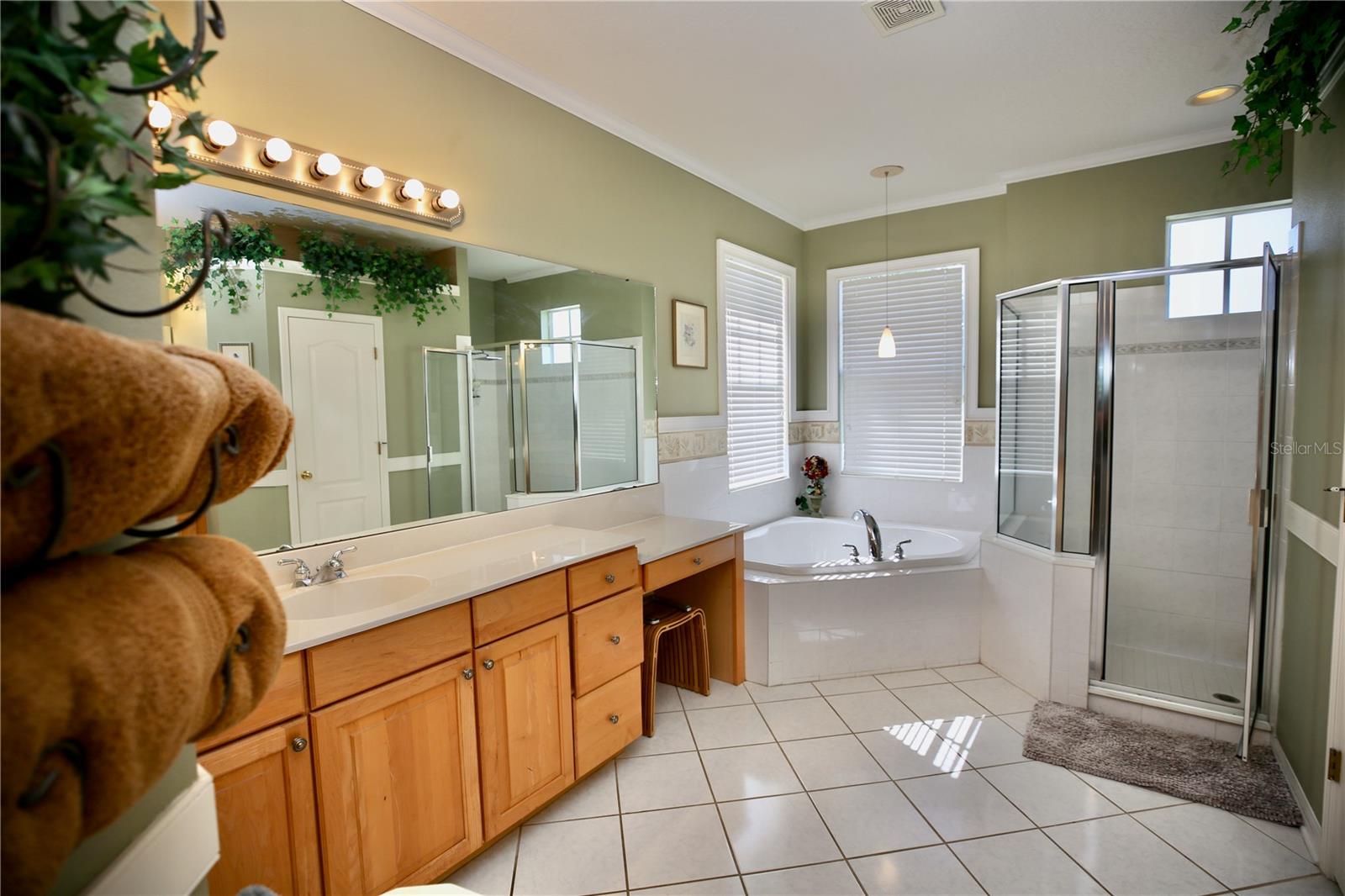 Image 29 of 71 For 2410 Tea Olive Terrace