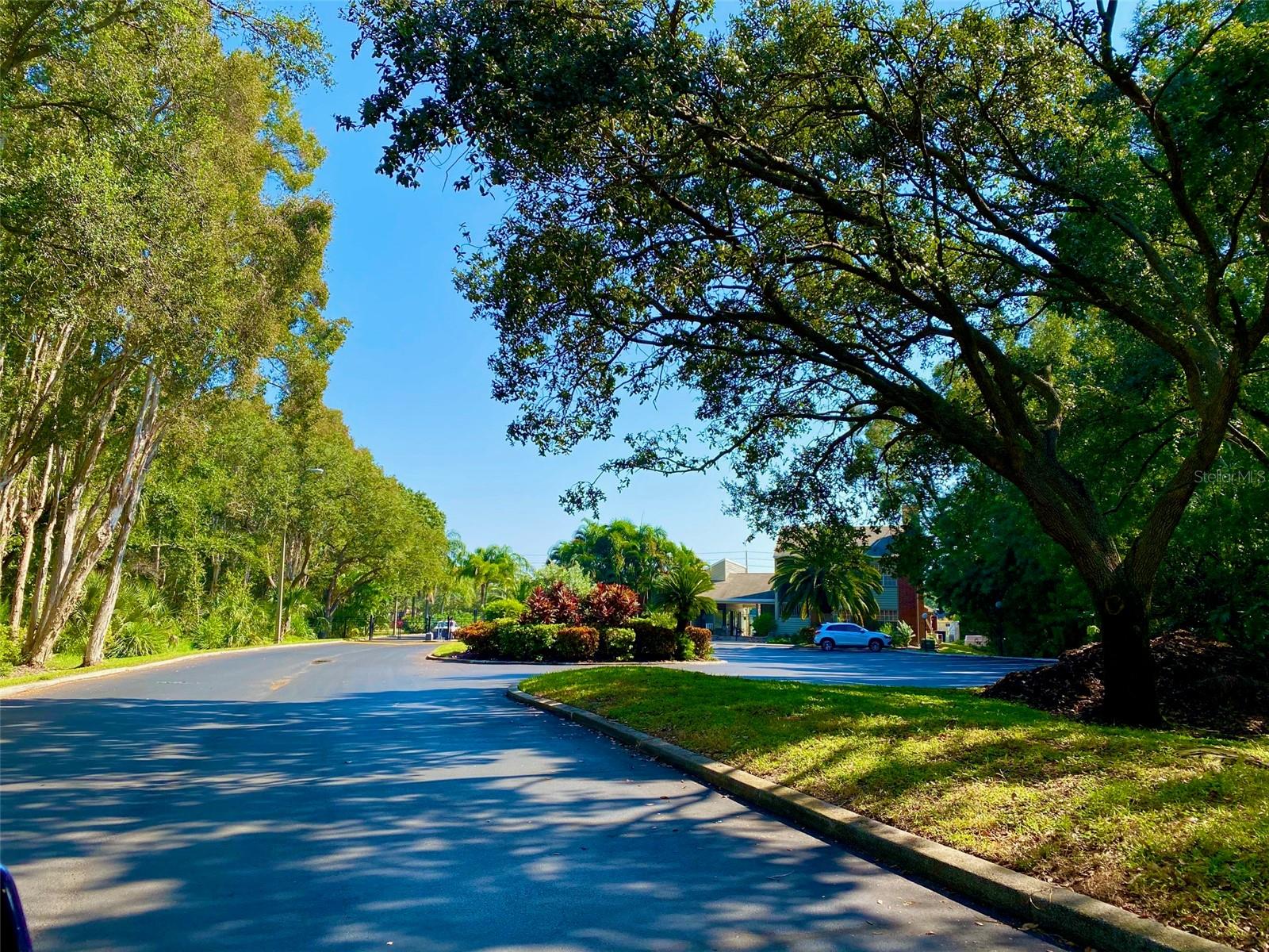 Details for 9100 Dr Martin Luther King Jr Street N 1505, ST PETERSBURG, FL 33702