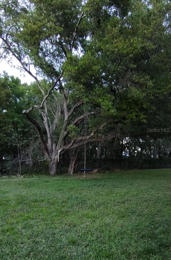 Image 2 of 2 For Address Not Provided