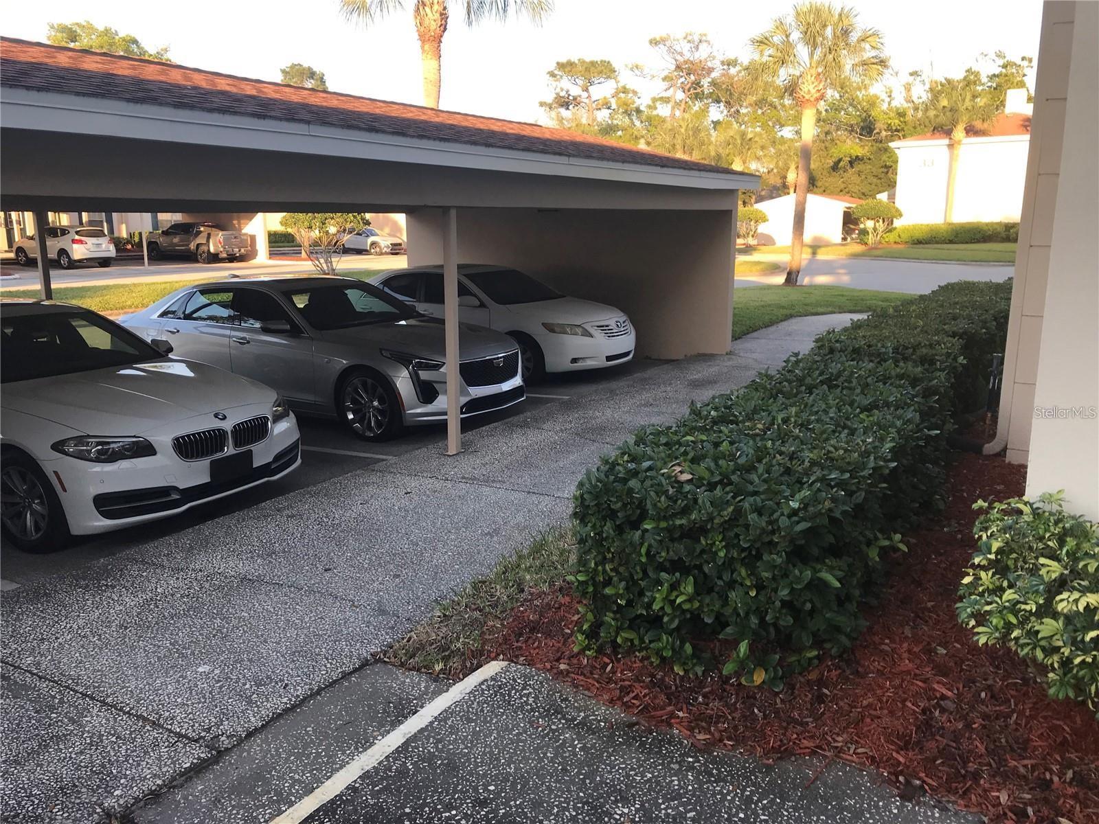 Image 11 of 13 For 10380 Carrollwood Lane 264