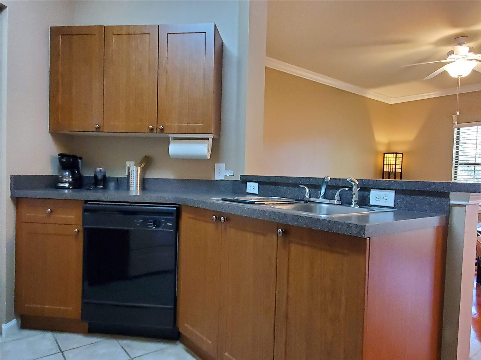 Image 13 of 33 For 2141 Portofino Place 28-282