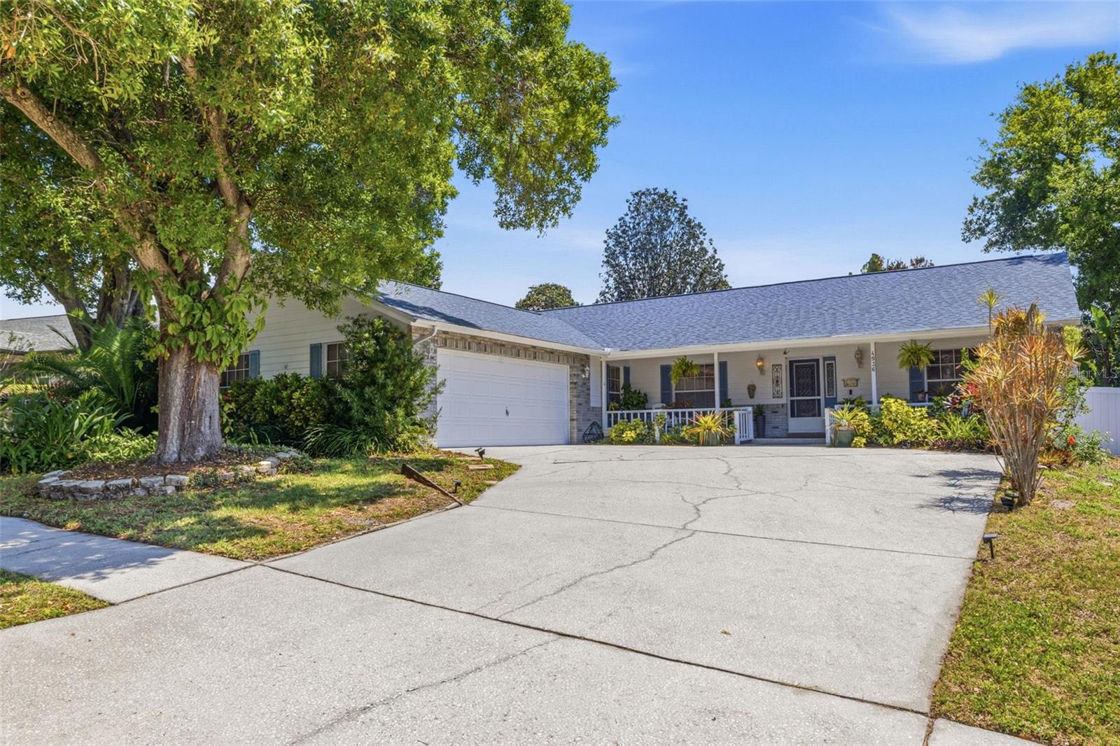 Details for 4936 Mineola Place, PALM HARBOR, FL 34684