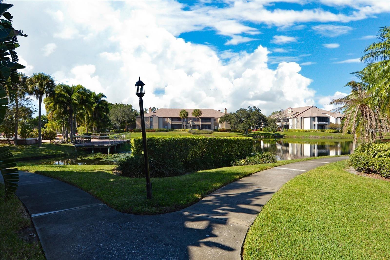 Image 51 of 98 For 10263 Gandy Boulevard N 108