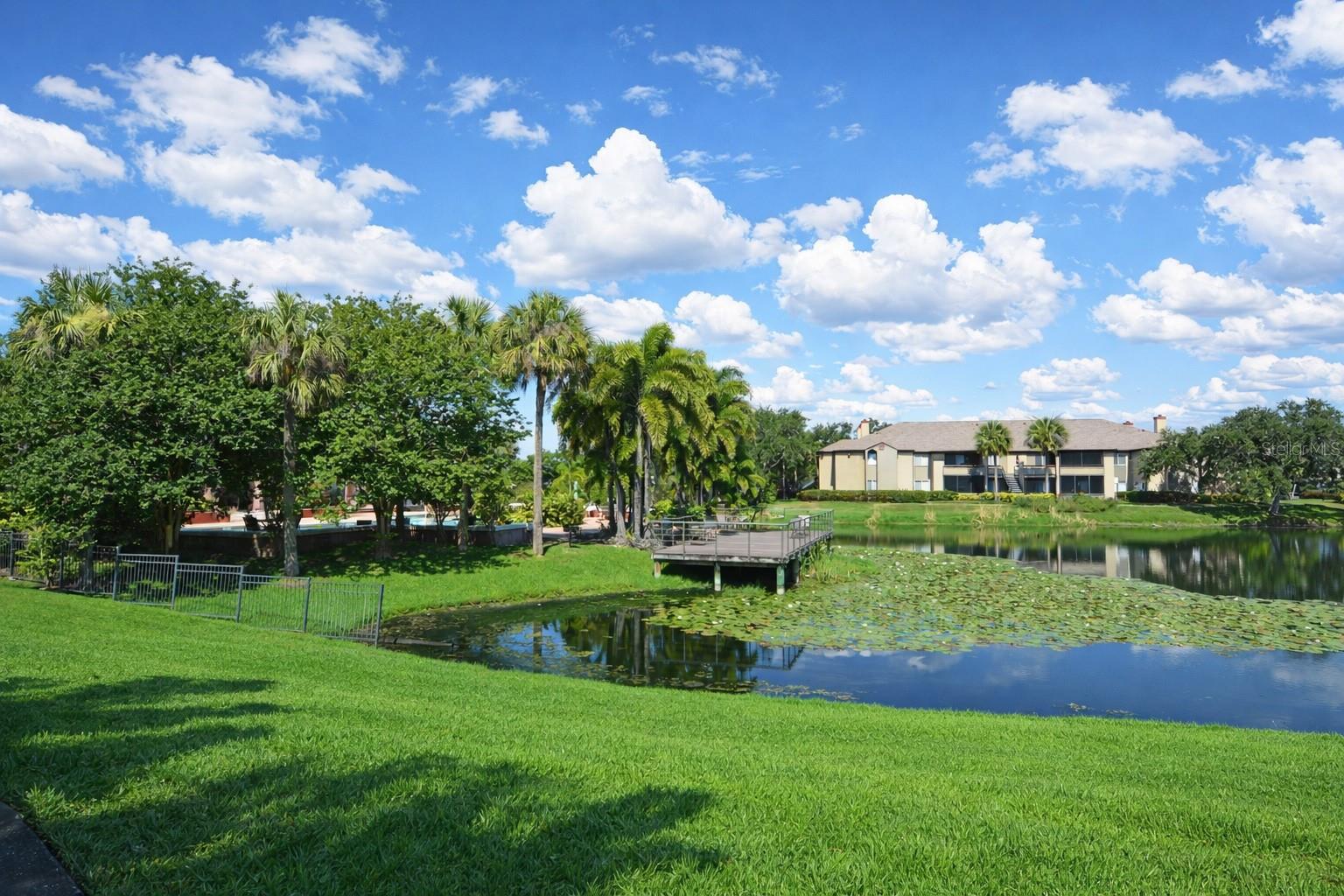 Image 52 of 98 For 10263 Gandy Boulevard N 108