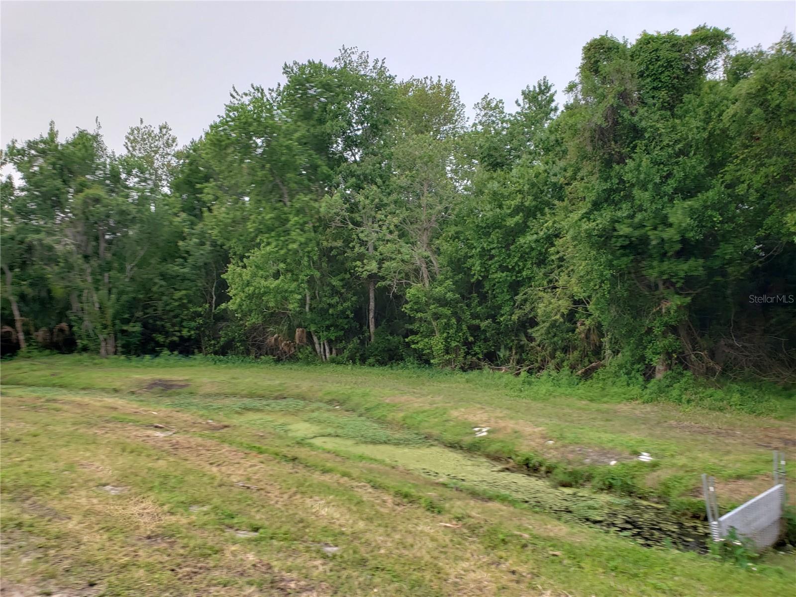 Image 10 of 69 For Grosse Avenue