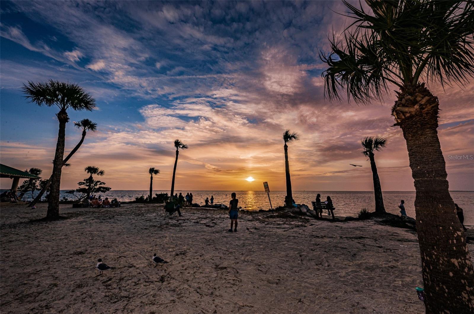 Image 59 of 69 For Grosse Avenue