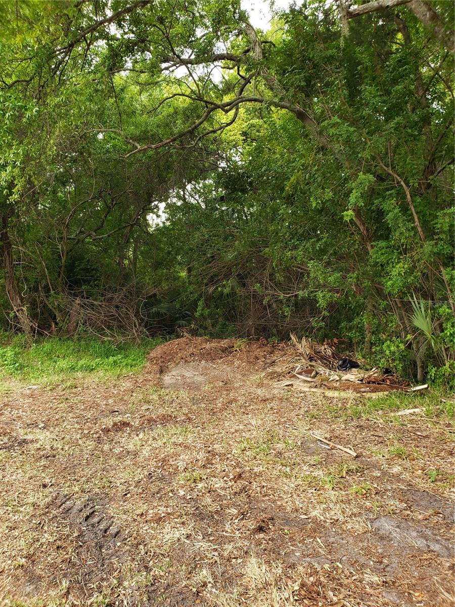 Image 6 of 69 For Grosse Avenue