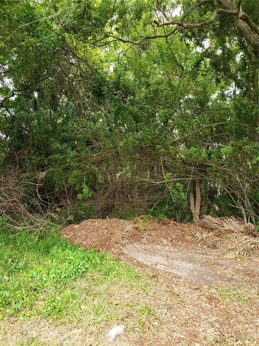 Image 7 of 69 For Grosse Avenue