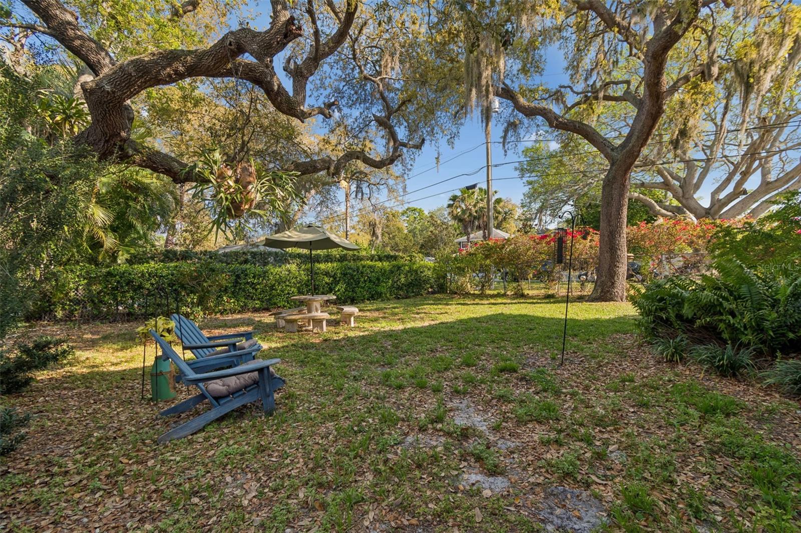 Image 11 of 79 For 600 Mayo Street