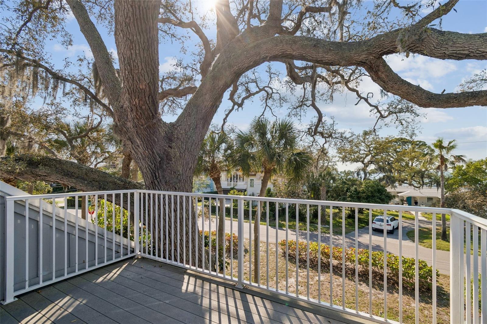 Image 59 of 79 For 600 Mayo Street