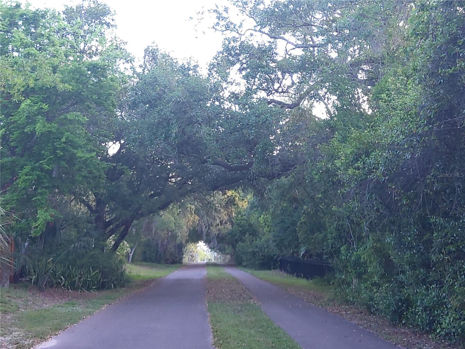 Image 76 of 79 For 600 Mayo Street