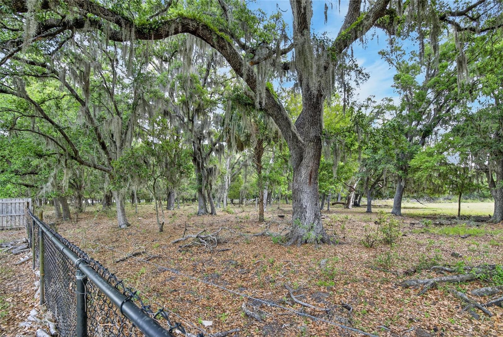Image 83 of 97 For 9454 Swift Creek Circle