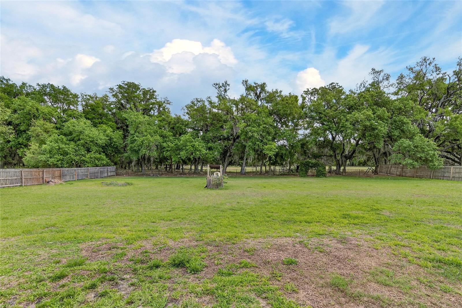 Image 86 of 97 For 9454 Swift Creek Circle