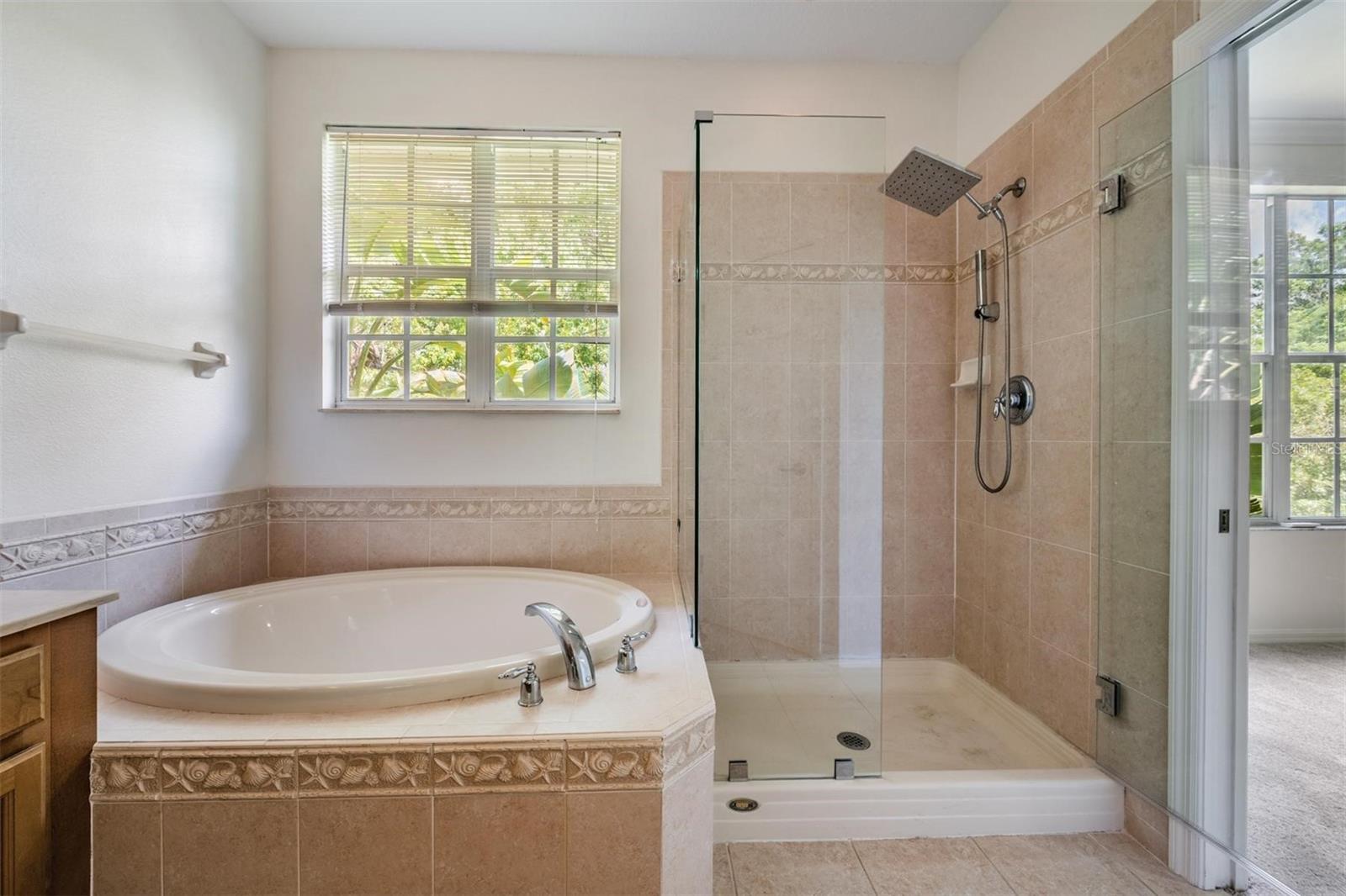 Image 29 of 52 For 14553 Mirabelle Vista Circle