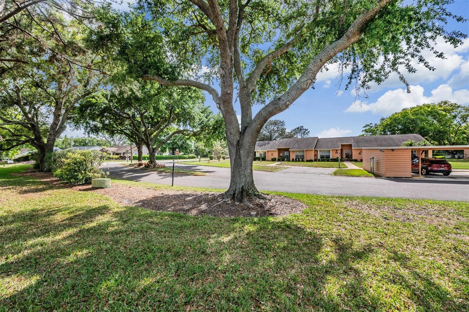 Image 30 of 41 For 9302 Trowbridge Court