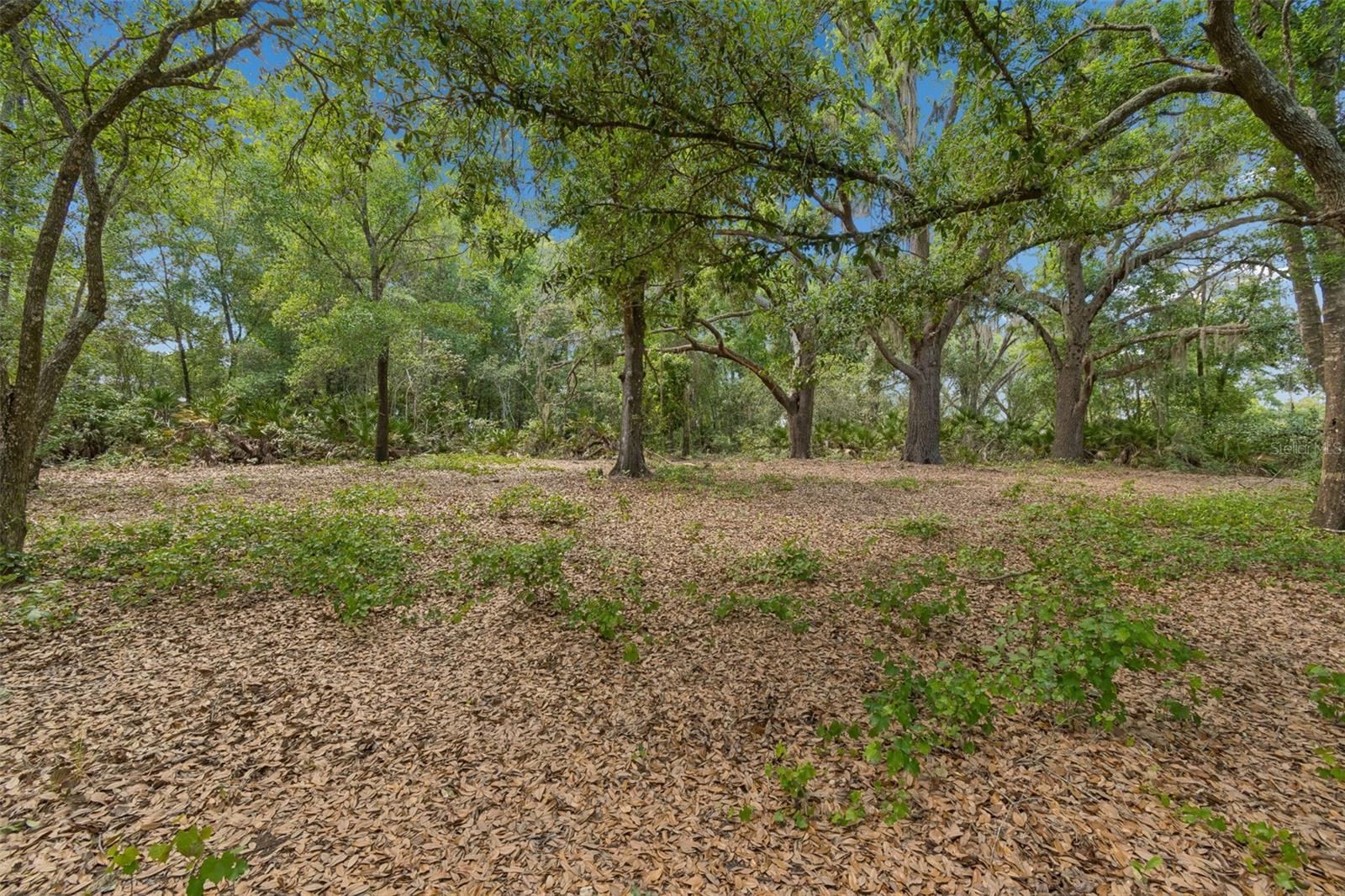 Image 91 of 100 For 17001 Midas Lane