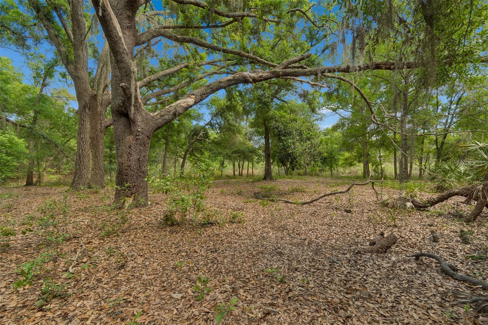 Image 92 of 100 For 17001 Midas Lane