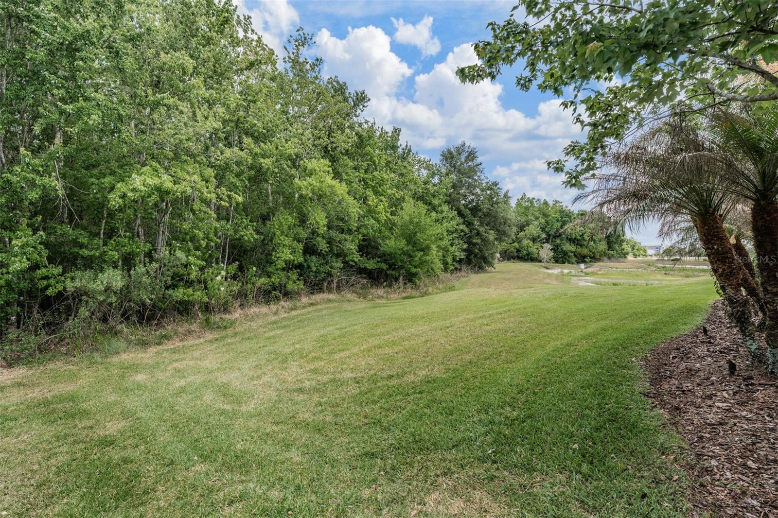 Image 45 of 61 For 4557 Vermillion Sky Drive