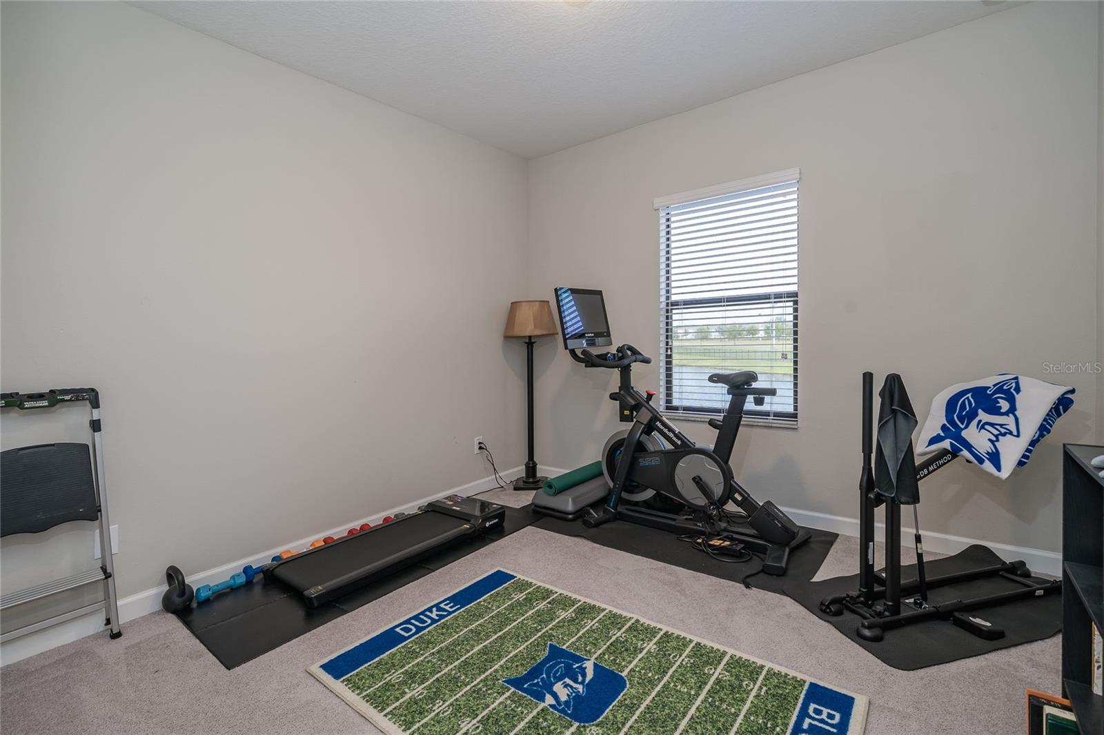 Listing photo id 27 for 8099 Lago Mist Way