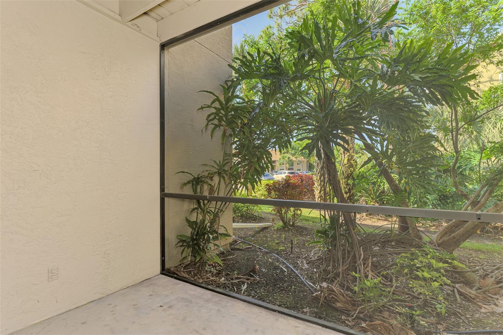 Image 42 of 51 For 4045 Crockers Lake Boulevard 11