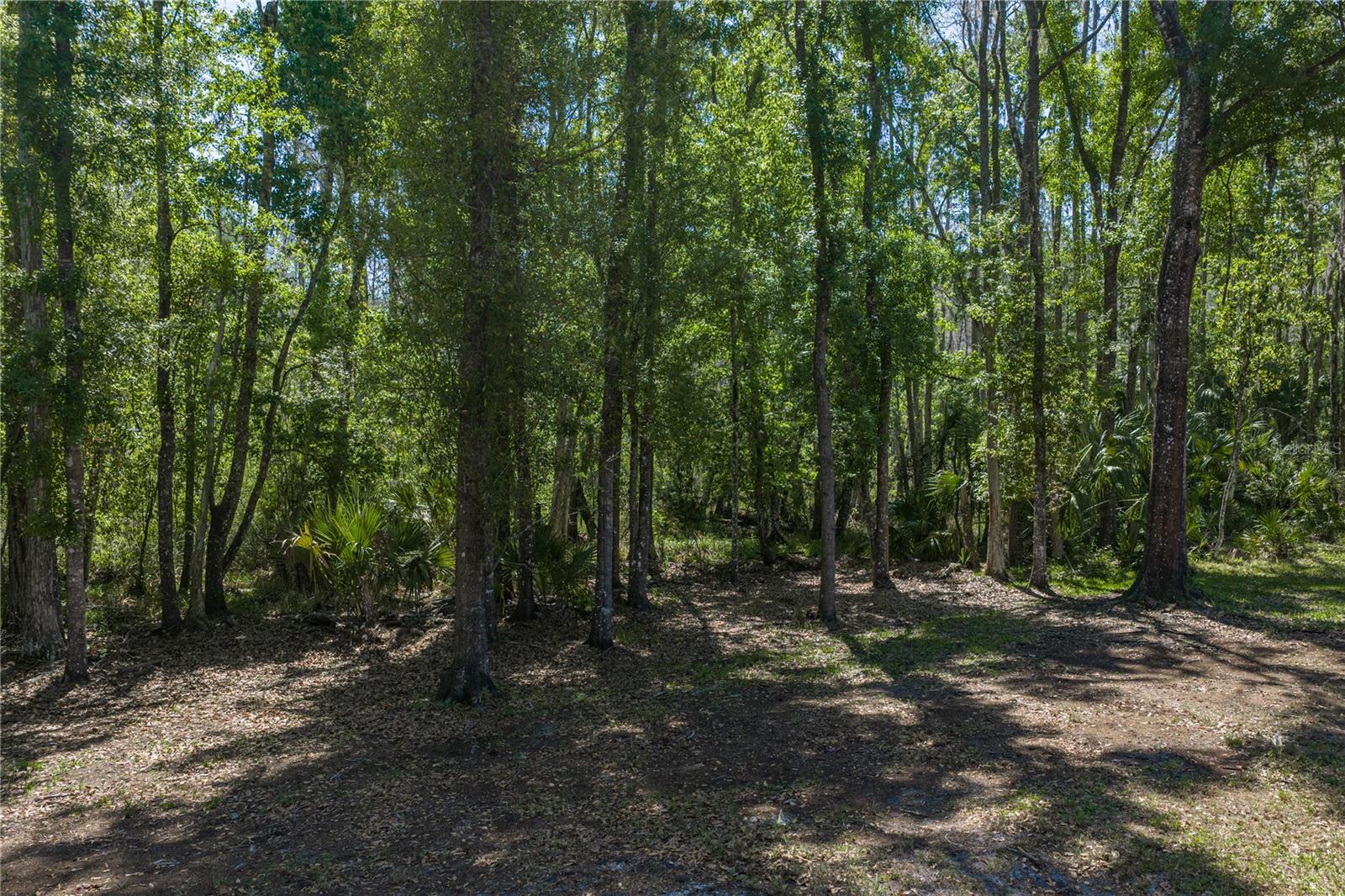 Image 49 of 50 For 8600 Shenandoah Run