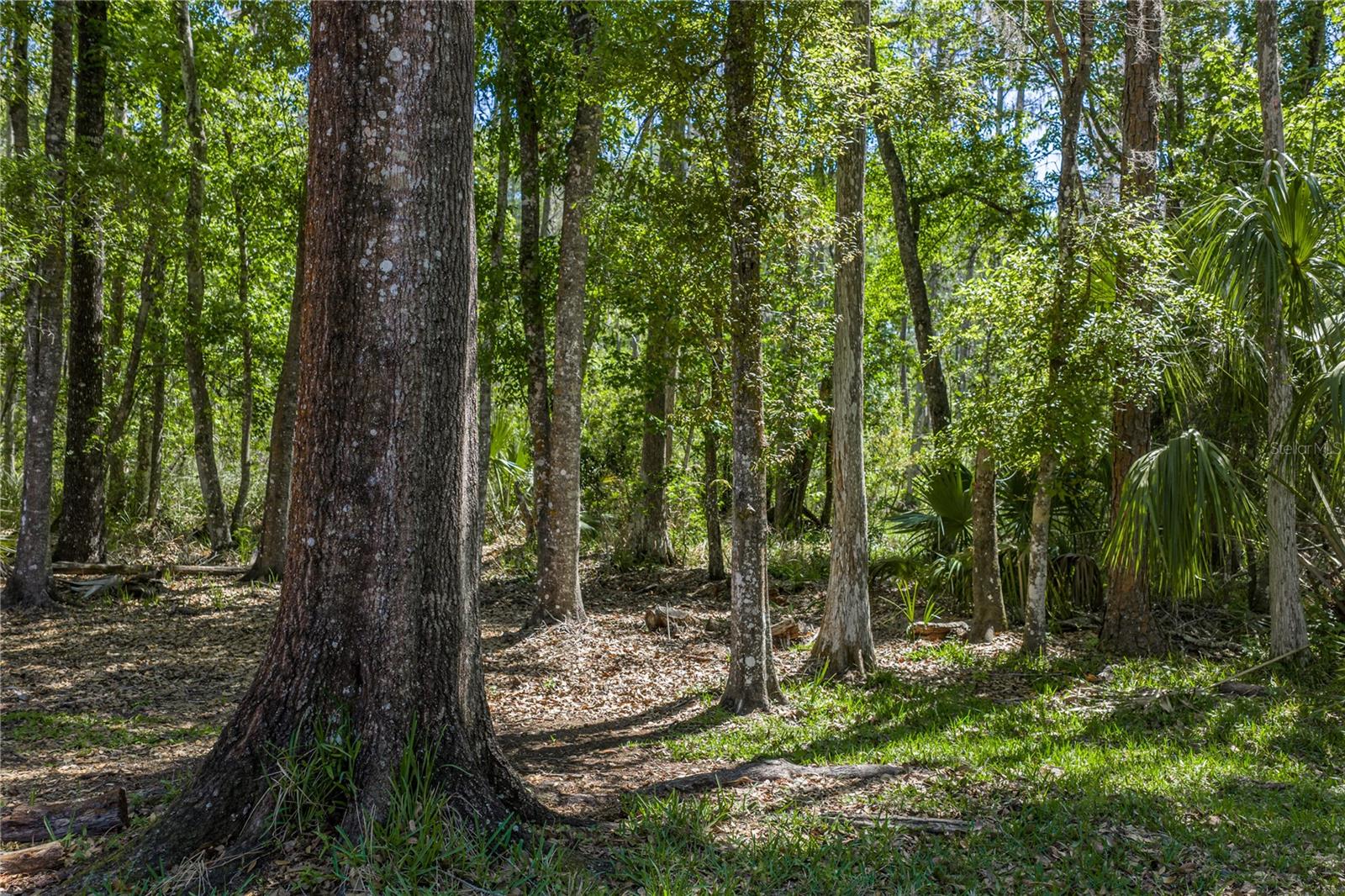 Image 50 of 50 For 8600 Shenandoah Run