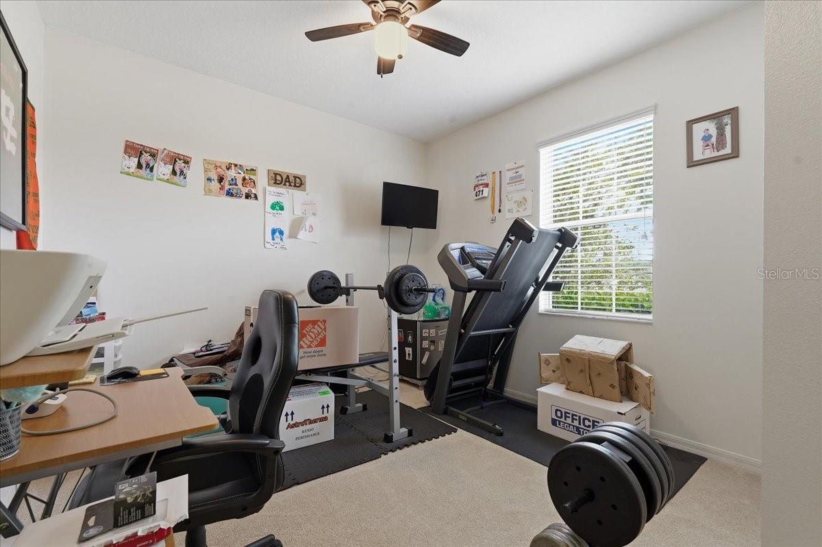 Listing photo id 22 for 3839 Grecko Drive